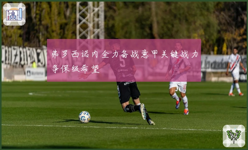 弗罗西诺内全力备战意甲关键战力争保级希望