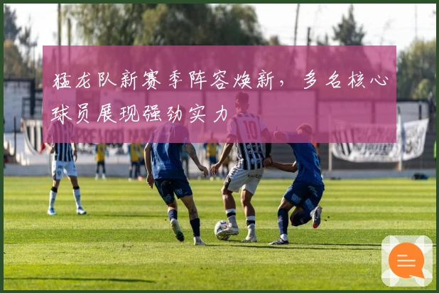 猛龙队新赛季阵容焕新，多名核心球员展现强劲实力